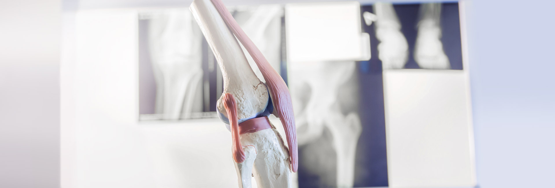 Experts - Swiss Orthopaedics