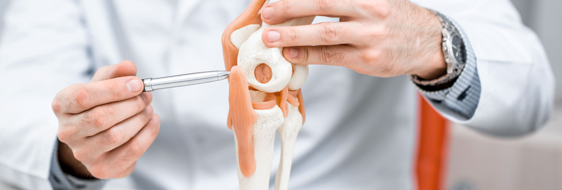 Bildung - Swiss Orthopaedics